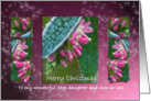 Merry Christmas Step daughter & Son in law - Hebe Pink Ice Crystals card