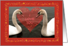 Two young swans & hearts - I love you - Valentine’s day card