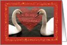 Two young swans & hearts - Be my Valentine - Valentine’s day card