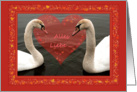 Two young swans & hearts - Alles Liebe - German Valentine’s day card