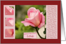 Pink Rose Love - Valentine’s day collage card