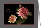 Astrantia flowers raindrops - Italian Sympathy Sentite Condoglianze card