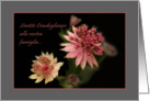 Astrantia raindrops - Italian condolences husband, father & grandpa card