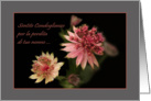 Astrantia raindrops - Italian condolences loss grandpa grandfather card