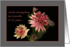 Astrantia raindrops - Italian condolences loss pap dad father card