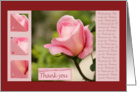 Pink Rose Thank you Because you care - Family Caregivers Month card