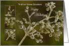 To all our Nurse Educators - Happy Holidays - Crystal Elegance card