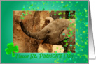 Little Elephant shamrock shower - Saint Patrick’s Day card