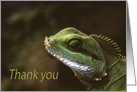 Little Green Spiny Lizzard Close-up Thank You Green Natural blank card