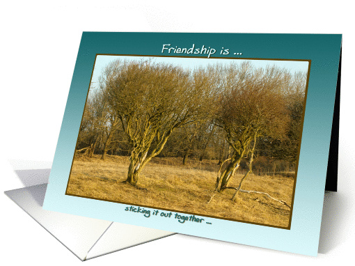 Two bushes in winter light - Friendship is faithfulness card (1092882)