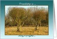 Two bushes in winter light - Friendship is faithfulness card