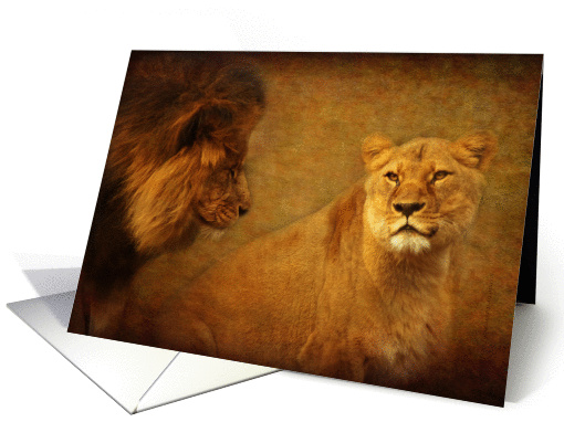 Lions still love at first sight - wild cats blank note card (1098452)
