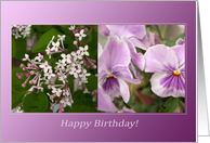 Purple Harmony of Violets Lilacs Flowers - Happy Birthday card