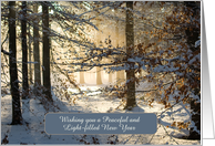 Light filtering through snowy woods - Peaceful Light-filled New Year card