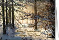 Light filtering through snowy woods - Merry Christmas Happy New Year card