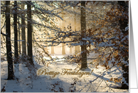 Light filtering through - Prettige Feestdagen Happy Holidays in Dutch card
