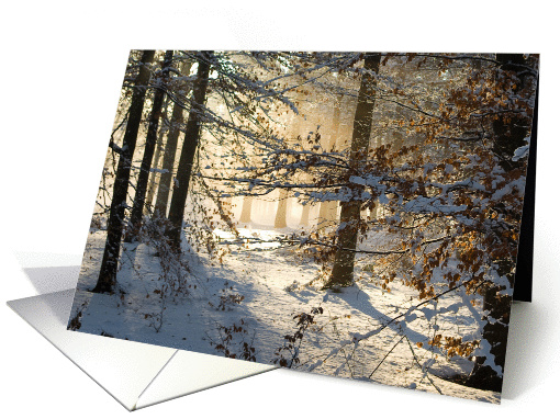 Light filtering through - winter woods blank note card (1106740)