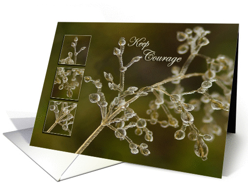 Crystal Elegance of frozen grass - Keep Courage to a Friend card