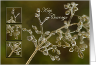 Crystal Elegance of frozen grass - Keep Courage to a Friend card