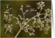 Crystal Elegance of frozen grass - Hou Moed Keep Courage Friend card