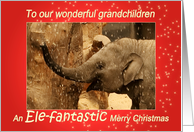 Little Elephant Stars Shower - Merry Christmas to our grandchildren card