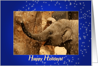 Little Elephant Stars Shower - Happy Holidays Christmas New Year blue card