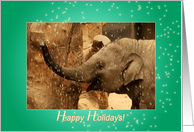 Little Elephant Stars Shower - Happy Holidays Christmas New Year green card