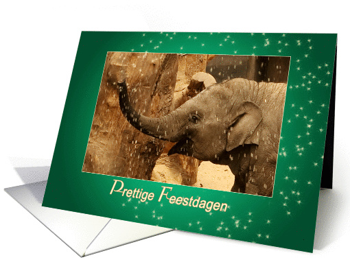 Little Elephant Stars Shower - Prettige Feestdagen Happy Holidays card