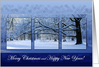 Reaching Far Winter Tree - Happy Holidays Christmas New Year card