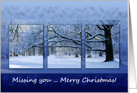 Reaching Far Winter Tree - Merry Christmas Missing you card