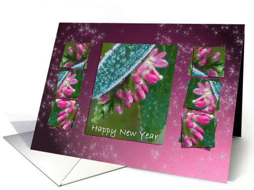 Hebe Pink Ice Crystals - Winter Flowers Happy New Year Holidays card