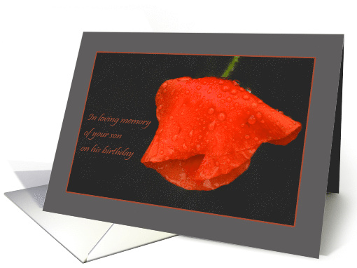 Poppy raindrops red grey - in remembrance of Son Birthday card