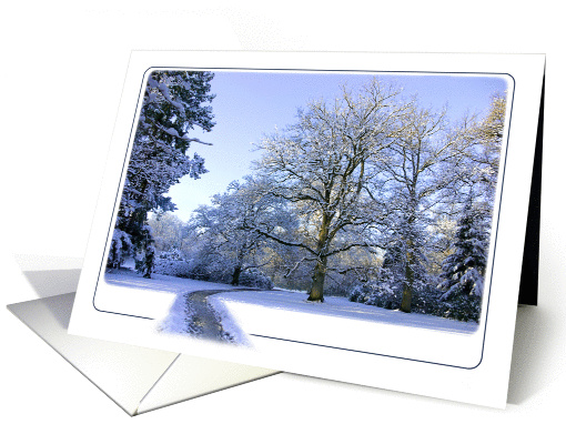 Path through Winter Wonderland - Snow trees woods blank note card