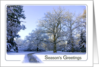 Path through Winter Wonderland - Business for customers Holidays card
