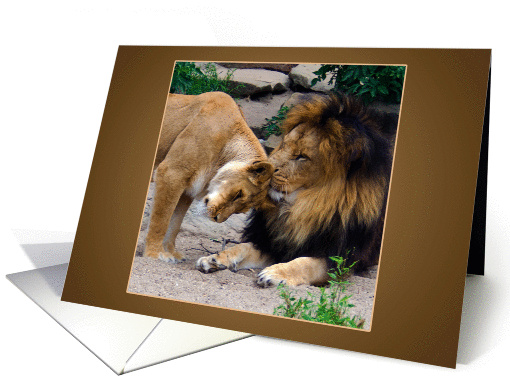 Lion and Lioness True Love - animals blank note card (1123546)