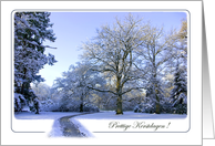 Path through Winter Wonderland - Prettige Kerstdagen Christmas Dutch card