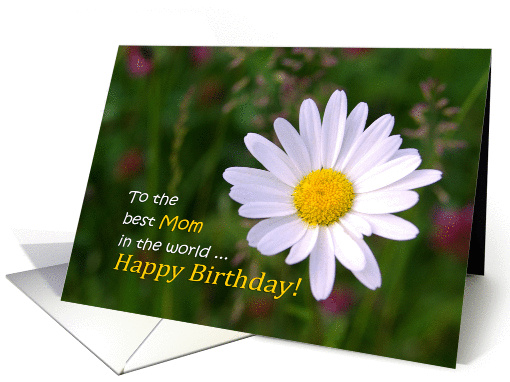 Happy Birthday, Mom - White daisy flowers natural card (1130432)
