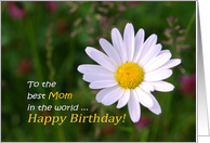 Happy Birthday, Mom ...