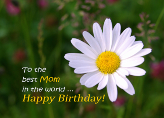 Happy Birthday, Mom ...