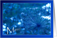 Merci - Thank you French Franais - Sparkling Blue Imagination card