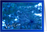 Veel Geluk! - Good luck Dutch Nederlands - Sparkling Blue Imagination card
