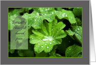 Lady’s Mantle raindrops - Sympathy heartfelt shared pain card