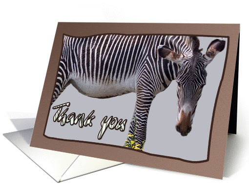 Zebra and zebra print -Thank you card on brown background... (1146688)