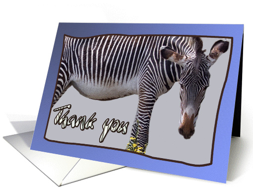 Zebra and zebra print -Thank you card on blue background... (1146690)