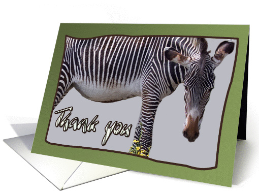 Zebra and zebra print -Thank you card on green background... (1146692)