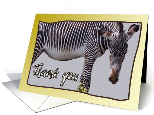 Zebra and zebra print Thank you card on yellow background... (1146694)
