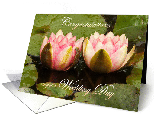 Two pink water lilies close together - Wedding Congrats card (1148892)