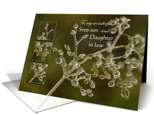 Merry Christmas Step son & Daughter in law - Crystal Elegance card