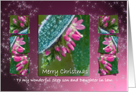 Merry Christmas Step son & Daughter in law - Hebe Pink Ice Crystals card