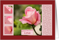 Pink Rose Love -...